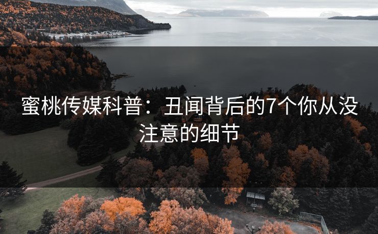 蜜桃传媒科普：丑闻背后的7个你从没注意的细节