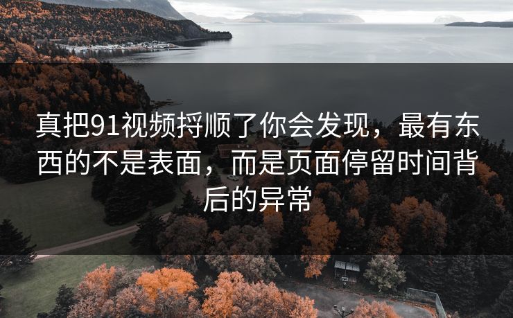 真把91视频捋顺了你会发现，最有东西的不是表面，而是页面停留时间背后的异常