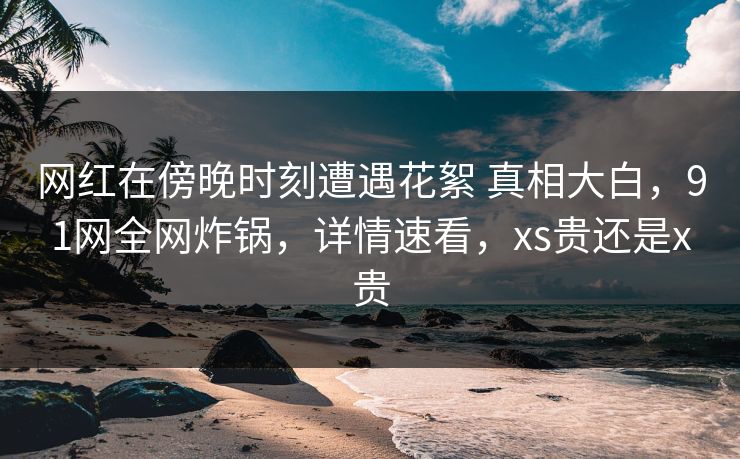 网红在傍晚时刻遭遇花絮 真相大白，91网全网炸锅，详情速看，xs贵还是x贵